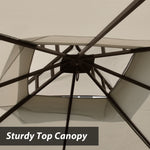 10x10 Outdoor Heavy Duty Garden Gazebo for Patios,with 1 sidewall and 4 Netting Includes